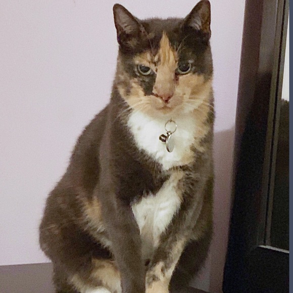 Meet your Posher, xoxo klowe - Picture 6 of 12